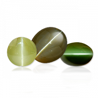 cats eye lehsunia