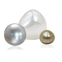 pearl moti img