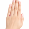 chatgpt image aug 11, 2026, 11 46 37 am