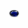 chatgpt image aug 13, 2026, 10 33 49 am