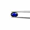 chatgpt image aug 13, 2026, 10 36 42 am