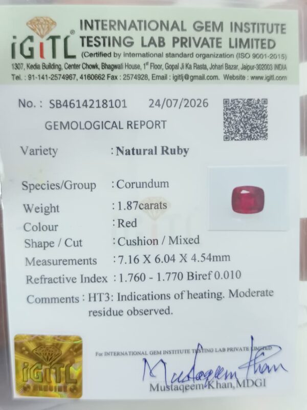 whatsapp image 2026 08 11 at 11.23.06 am (1)
