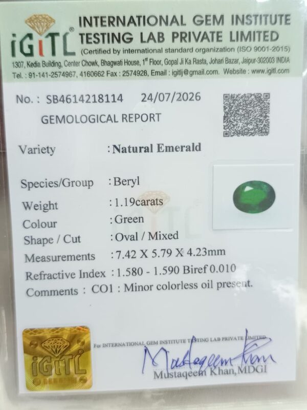 whatsapp image 2026 08 12 at 3.26.01 pm