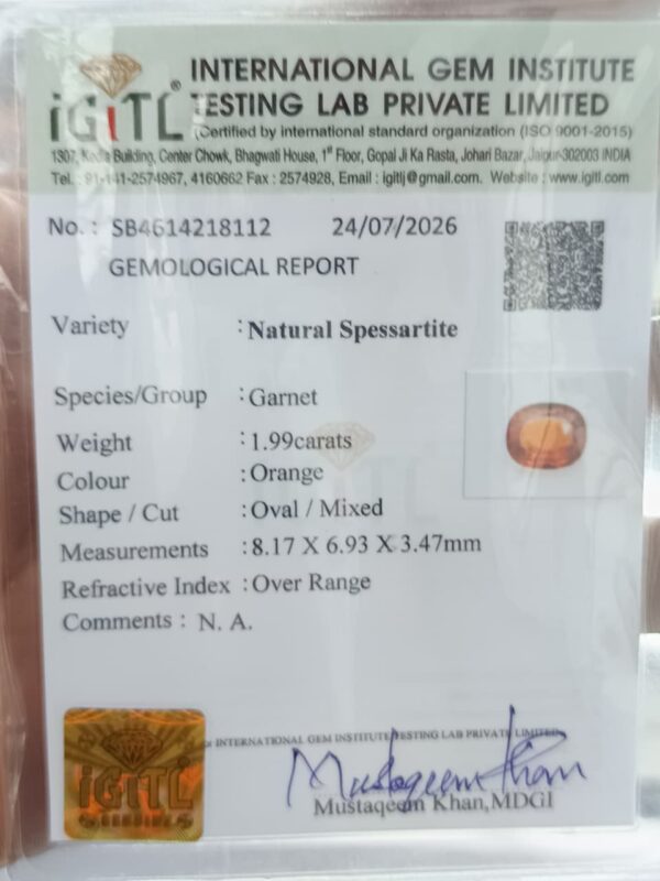 chatgpt image aug 13, 2026, 02 18 23 pm whatsapp image 2026 08 13 at 10.01.23 am