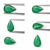 whatsapp image 2026 08 18 at 5.37.02 pm (1)