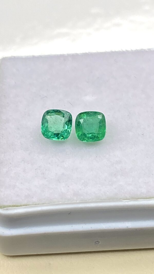img 6215.jpg img 6213.jpg